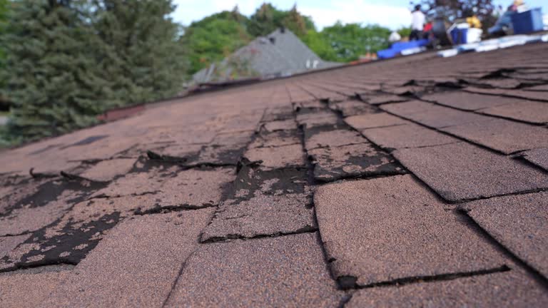 Best Roof Installation  in Springfield, FL